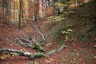Römerschanze Grünwald