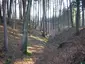 Burgstall