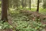 Wüstung Hetelingen bei Burgdorf