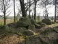Großsteingrab Rickelmann 2