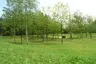 Kleinkastell Freimühle