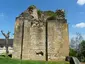Ruines de l'ancien château