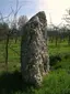 Menhir dit la Grosse Pierre de la Bergerie