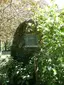 Menhir dit la Pierre de Lenay