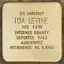 Stolperstein à la mémoire d'Ida Levine
