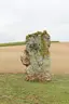 Menhir de l'étang de Chénevry