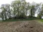 Tumulus de Saint-Fiacre