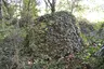 Menhir de Pierre-Pin