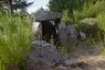 Dolmen des Baumes
