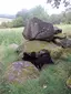 Dolmen de Loubaresse