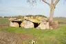Dolmen de Vaon