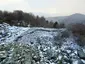 Oppidum de la Fare