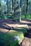 Deux menhirs
