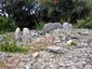 Dolmen1-Géantes