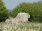 Deux menhirs dits Pierre Martine