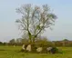 Dolmen de la Salle aux Fées