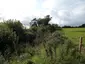 Ballyphilip Bosheen Mass Path