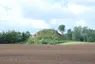 Baunehøj