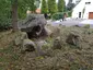Hostrupskov Jættestue