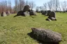 Lindeskov Hestehave Langdysse 1