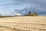 Stenhøj