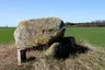Lindeskov Dyssekammer