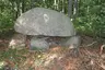 Frostrup Skov Dyssekammer Frostrup Skov Dyssekammer