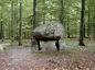 Klosterriis Hegn Runddysse
