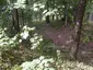 Kozlov