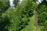 Velešov