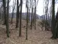 Najštejn