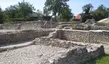 Andautonia