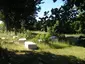Stećak necropolis Bijača