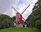 De Nieuwe Papegaai