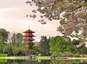 Japanese Tower