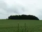 Tumulus van Genoelselderen