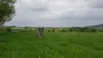 10b