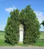 Bildstock