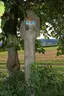 Bildstock Daglesbach 6