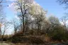 Hügelgräberfeld Bauernwald IV