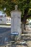 Pillory in Bernstein