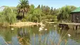 Bioparque Temaikèn
