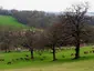 Bucklebury Farm Park