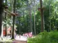 Wildgehege Moritzburg