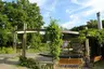 Botanischer Garten