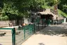 Tierpark Senftenberg
