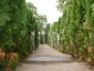 Hortus Vitalis