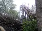 Flight of the Hippogriff