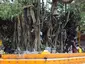Oachira Parabrahma Temple
