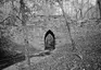 Poinsett Bridge